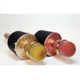 Mikrofonas KARAOKE  MIC-BK11