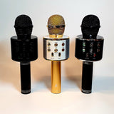 Mikrofonas KARAOKE  MIC-WS 858