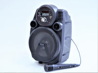 Karaoke kolonėlė CRONY MS-6606S