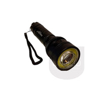 Prožektorius LED - R1