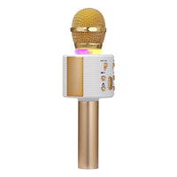 Mikrofonas KARAOKE MIC V6