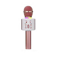 Mikrofonas KARAOKE MIC V6