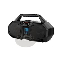 Garso kolonėlė su radija ZQS-4216