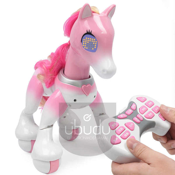 Išmanus robotas Pony