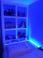 LED juosta RGB 5m (MID)