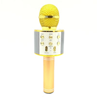 Mikrofonas KARAOKE  MIC-WS 858