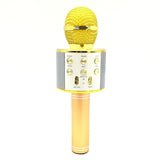 Mikrofonas KARAOKE  MIC-WS 858