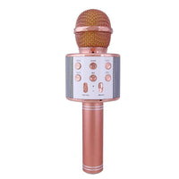 Mikrofonas KARAOKE  MIC-WS 858