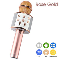 Mikrofonas KARAOKE  MIC-WS 858
