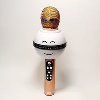 Mikrofonas KARAOKE  MIC-WS 878