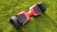 Riedis 9'' - AUTOBALANCE